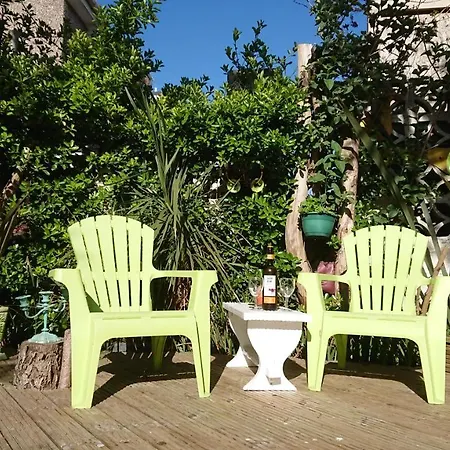 The Blue Palms - Fistral * 뉴키