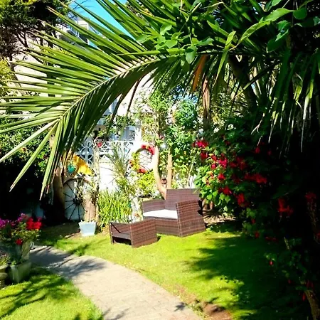 The Blue Palms - Fistral Lodge *
