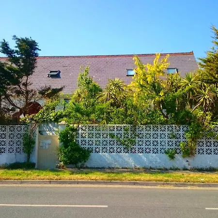 The Blue Palms - Fistral Lodge